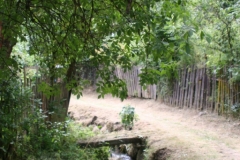 DenObce_20140705_001