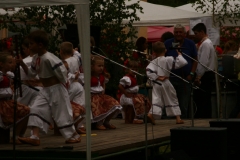 DenObce_20140705_033