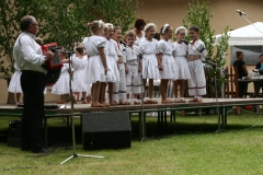 DenObcePovraznik_20170702_081