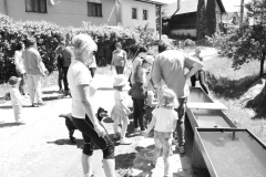MDD_PoStopachMedveda_20200531_24