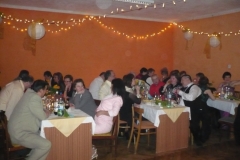 ples_2011_33