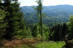 Polana_20120512_kaldera