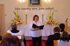 img_1229254935_100_lg