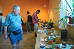 20190915_povraznicke-plodobranie_0055