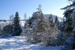 img_1229210903_579