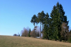 img_1229210919_663