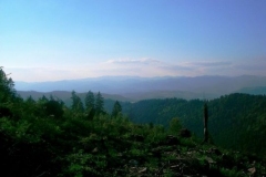 img_1229210969_921