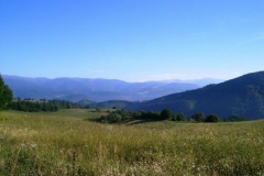 img_1229210977_935