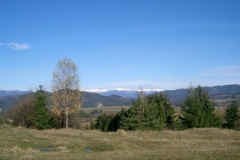 img_1229210980_523