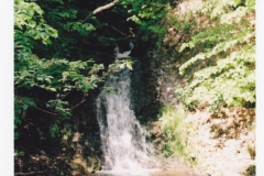 vodka_08