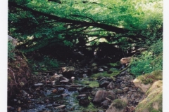 vodka_09
