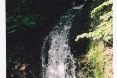 vodka_13