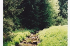 vodka_16