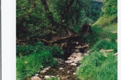 vodka_20
