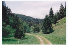 vodka_23