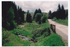 vodka_24