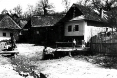 dobova_fotka_domov