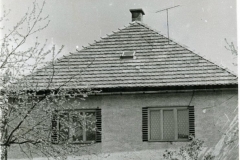 novsi_dom_02