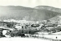povraznik_z_cesty_na_sajbu_03