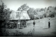 z_historie_35