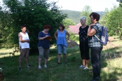 ZiveDedicstvoPovraznika_20170708_02
