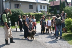 ZiveDedicstvoPovraznika_20170708_25
