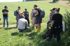 ZiveDedicstvoPovraznika_20170708_29