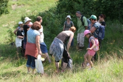 ZiveDedicstvoPovraznika_20170708_32