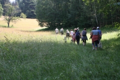 ZiveDedicstvoPovraznika_20170708_39
