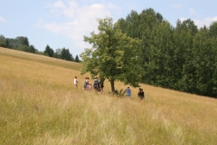 ZiveDedicstvoPovraznika_20170708_42